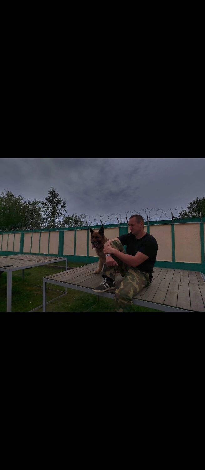 ���������� �������, ���� ������� �������, 37 ���, ������������ ��� ������, ����� � ���������