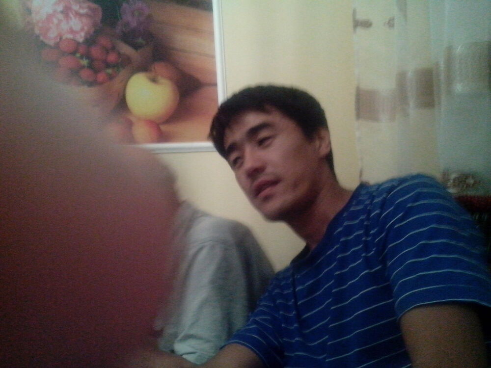  5001900  , 43 ,    