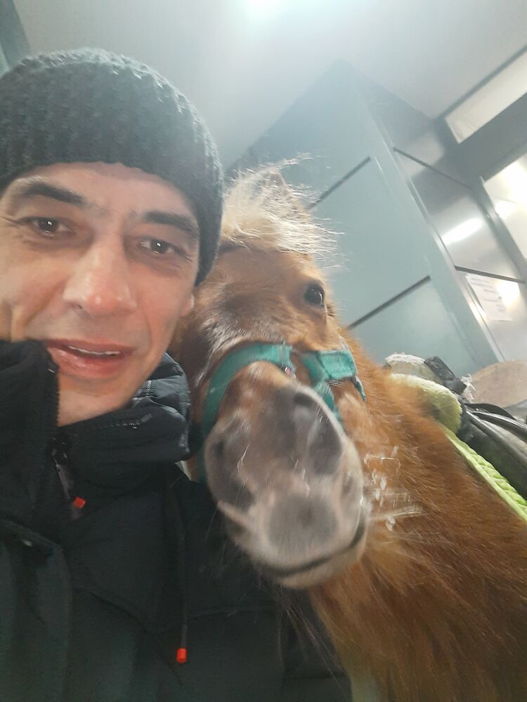 ���� 30568040 ������� ������, 49 ���, ���� ���������� � �����