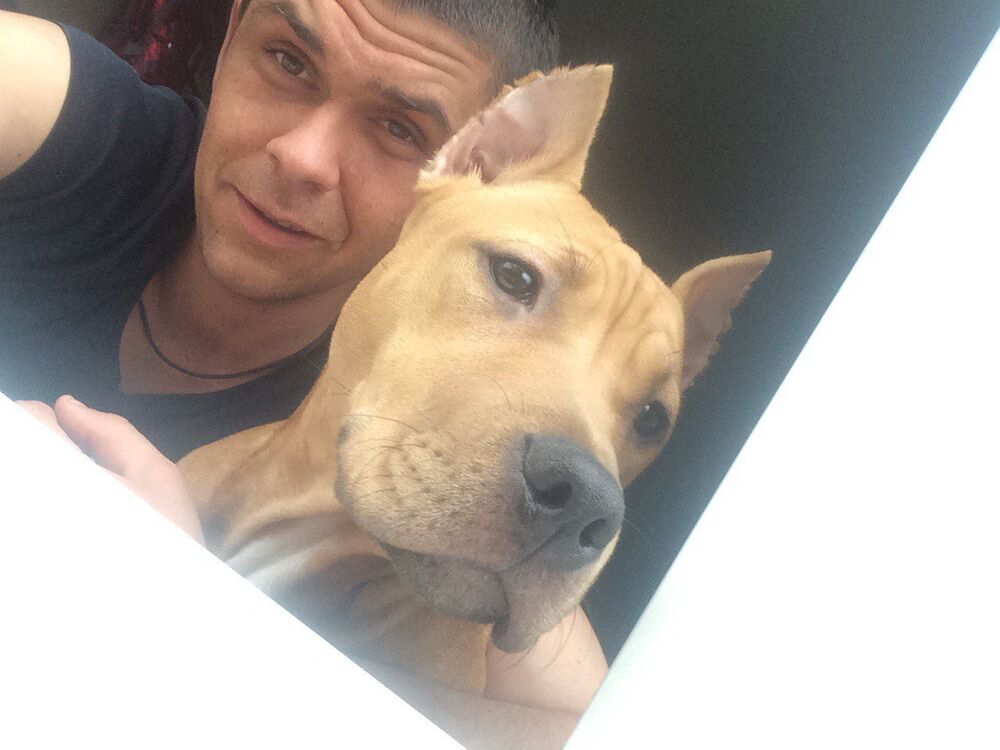 ���� 54719010 ������� �������, 34 ����, ���� ���������� � ��������������