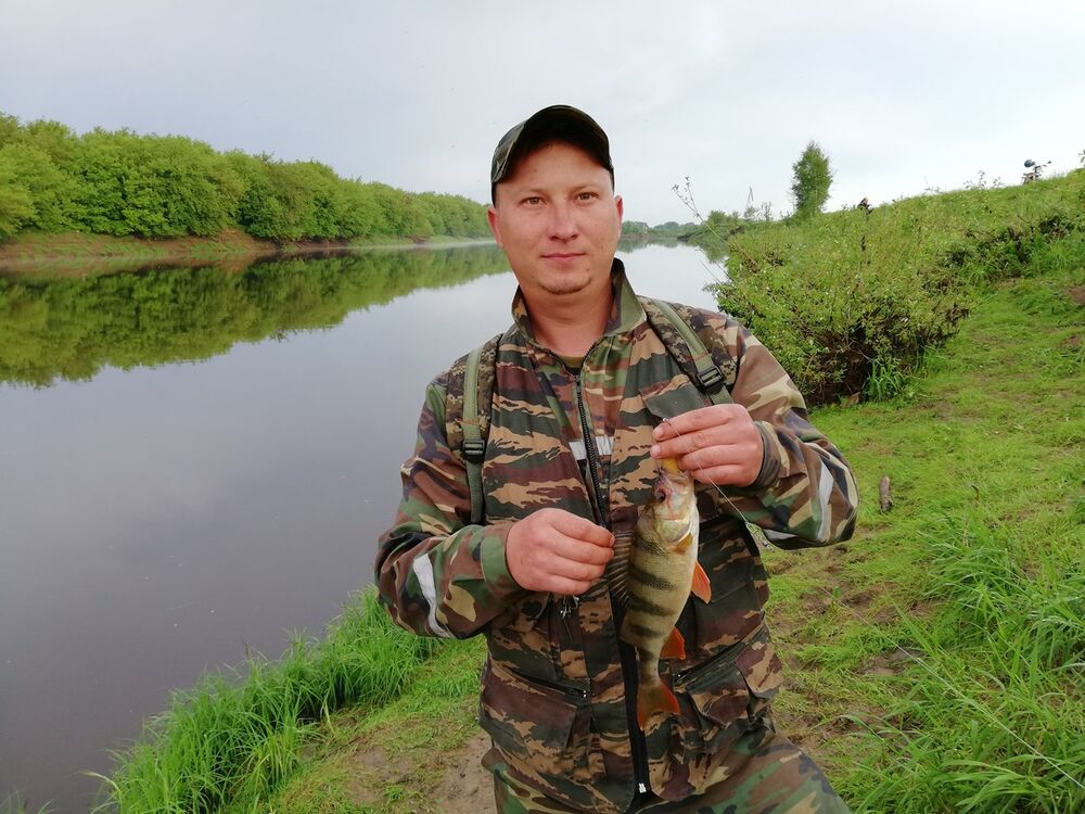 ���������� ������, ���� ������� �������, 38 ���, ������������ ��� ������, ����� � ���������, c�������� ���������