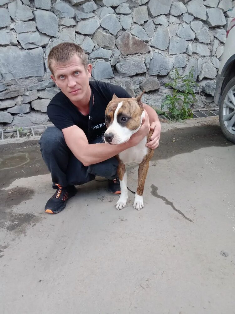 ���������� �����-���������, ���� ������� ������, 31 ���, ������������ ��� ������, ����� � ���������