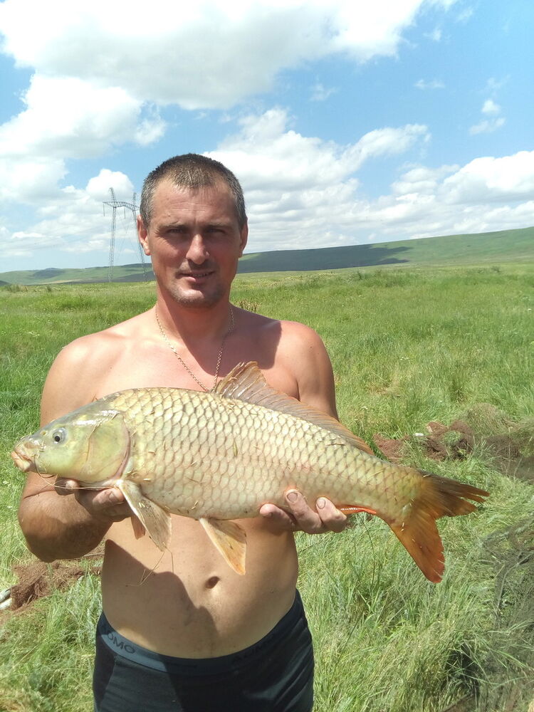 13721080  , 45 ,    