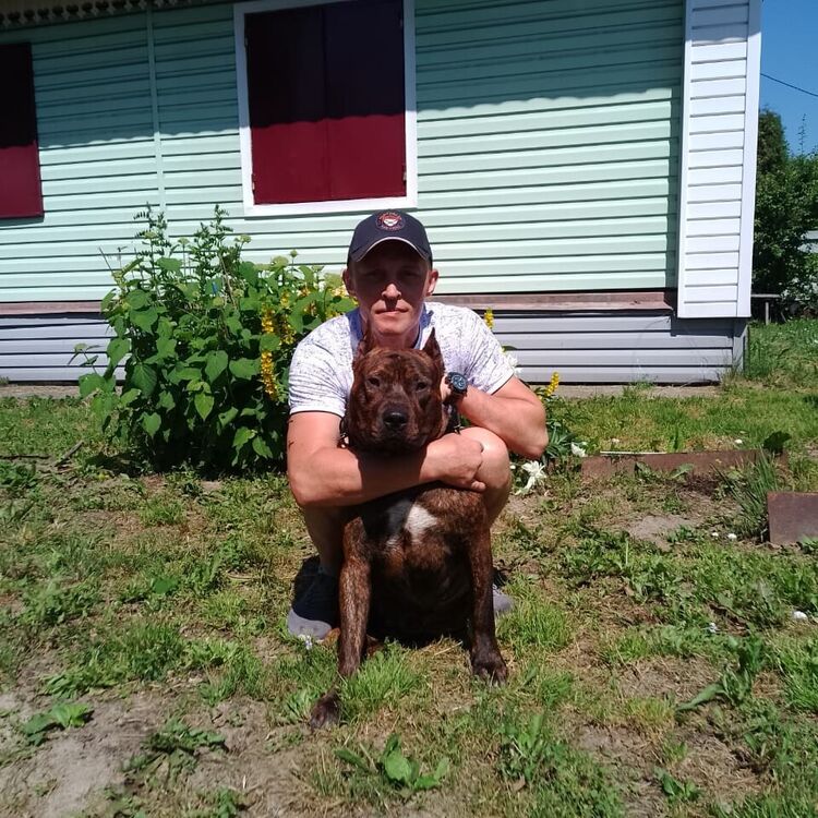 ���� 55310420 ������� �������, 45 ���, ���� ���������� � ������������