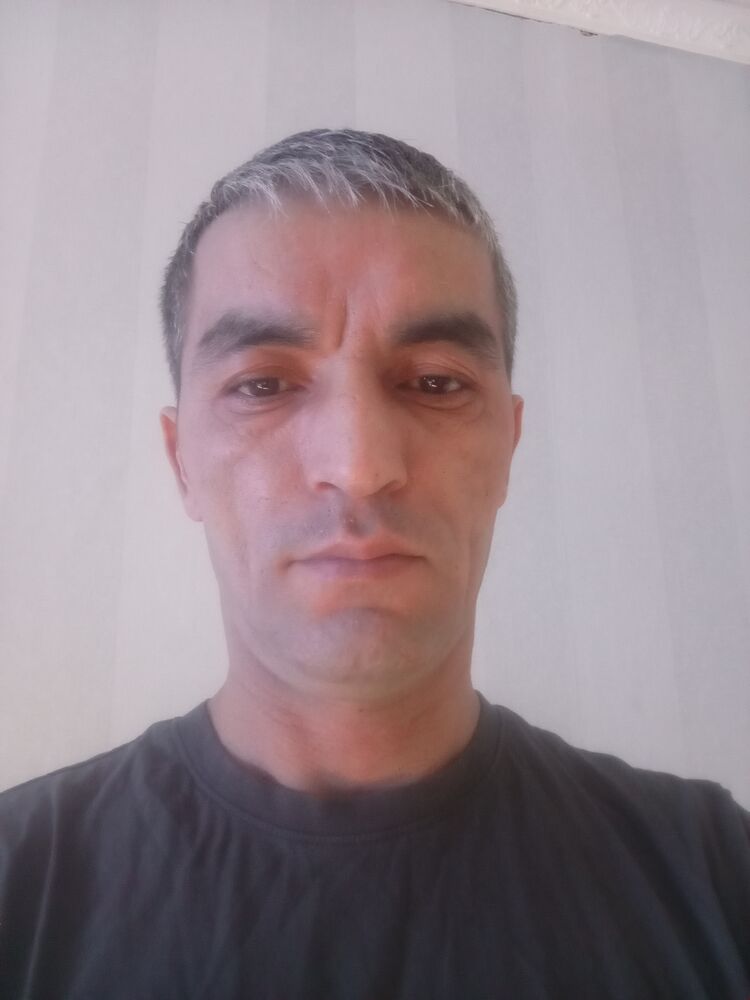  41676020  , 40 ,    
