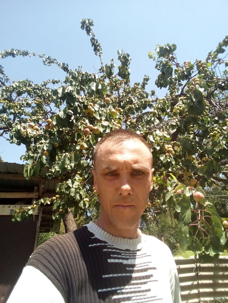  ,   , 38 ,   c 