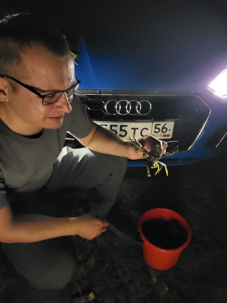 ���������� ��������, ���� ������� �������, 27 ���, ������������ ��� ������, ����� � ���������, c�������� ���������, ���������