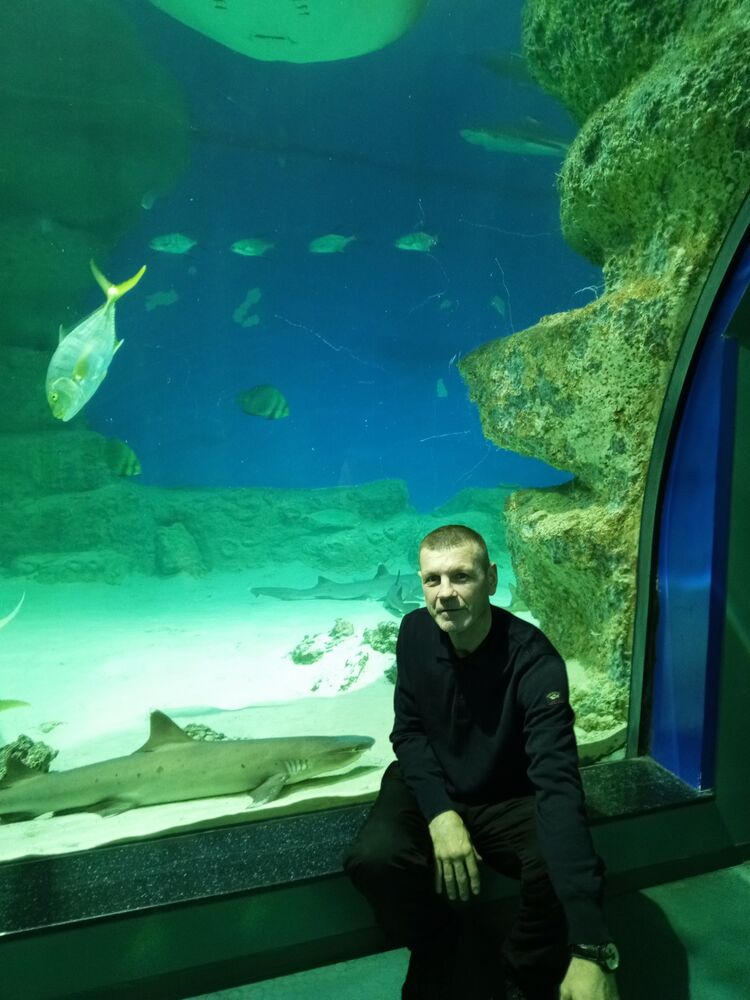 ���������� �����, ���� ������� ���������, 39 ���, ������������ ��� ������, ���������