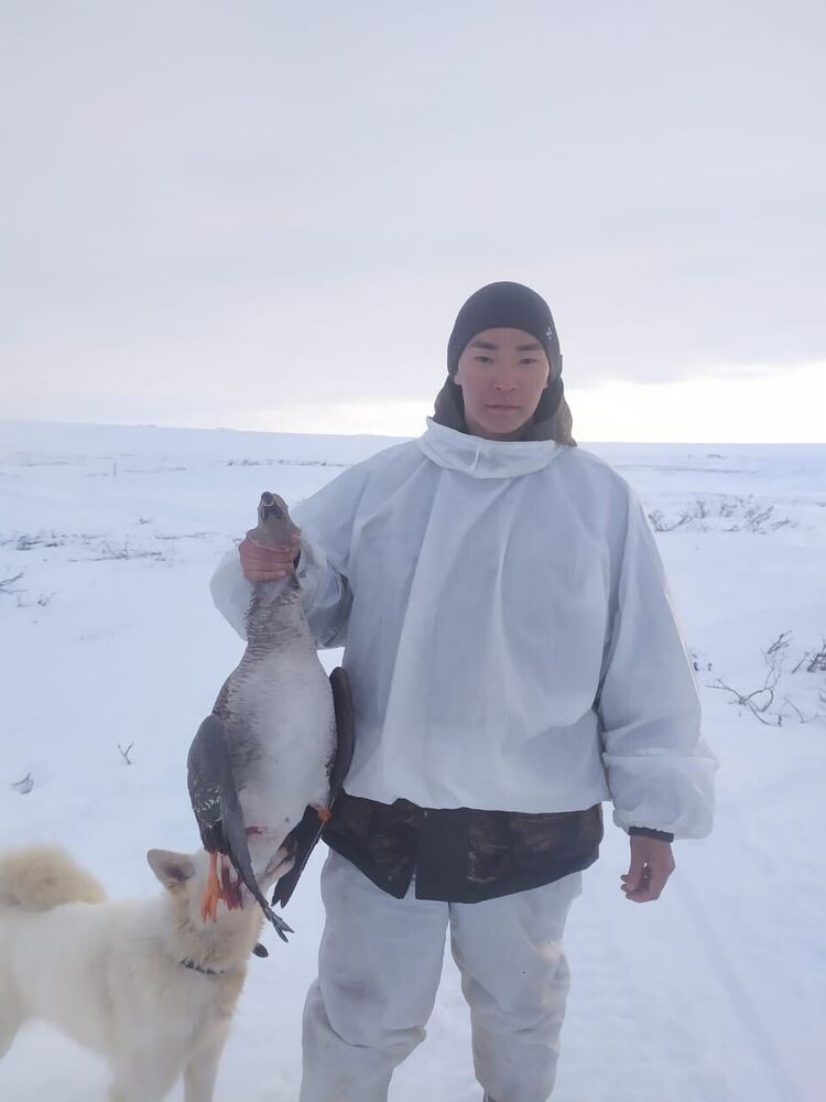 ���� 41887990 ����� ������, 22 ����, ���� ���������� � �������