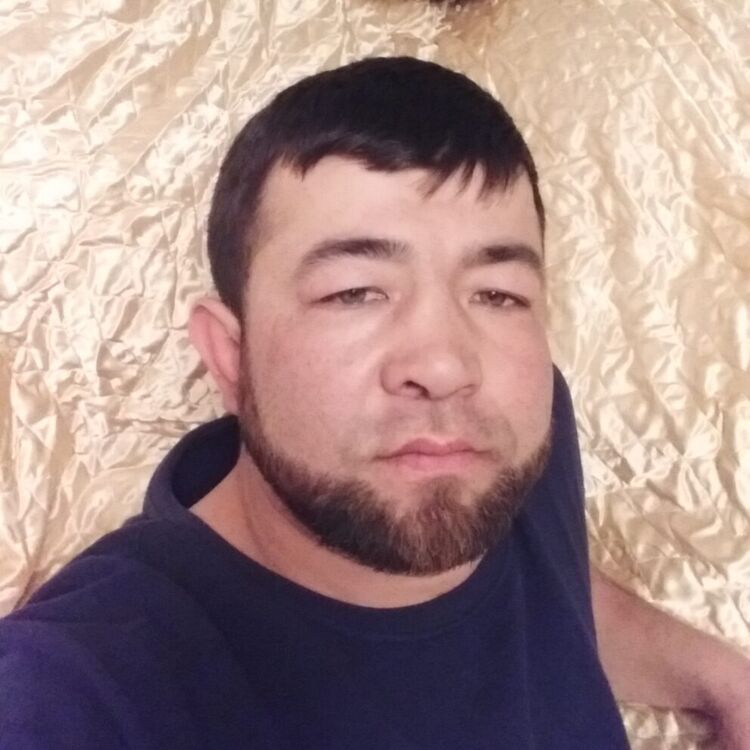  35202740  , 28 ,    