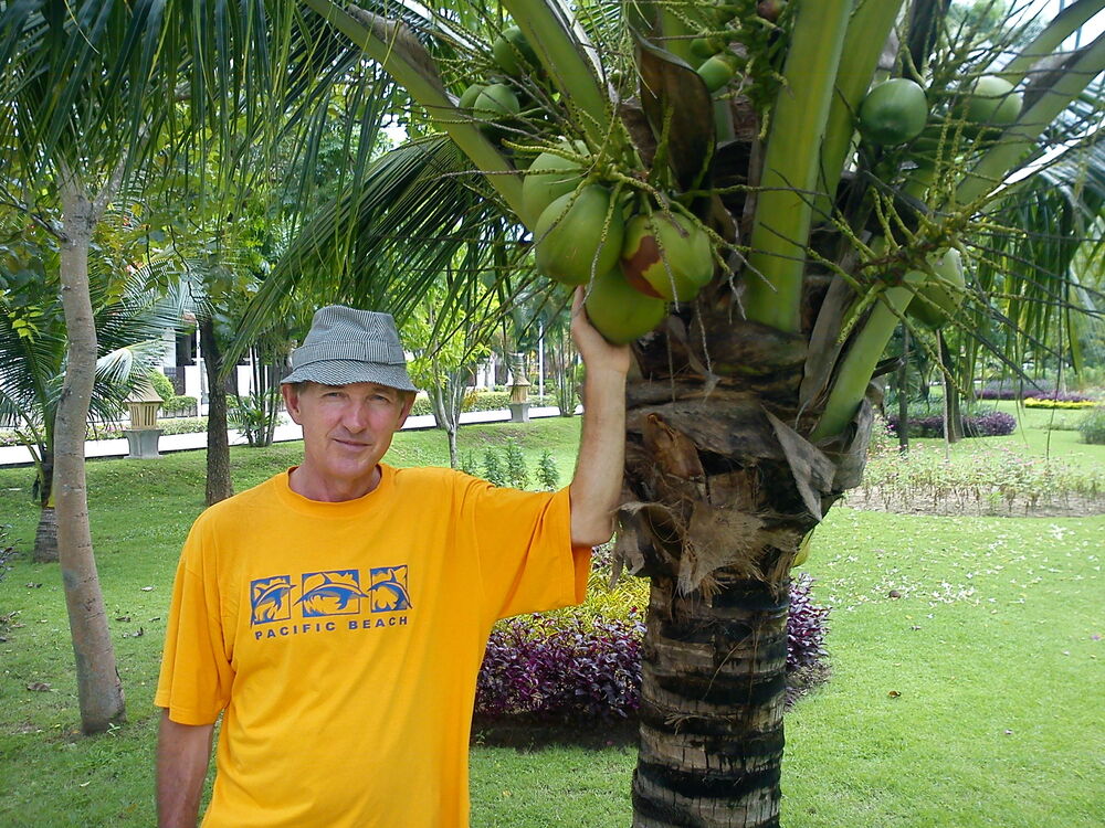  31767260  , 62 ,    -