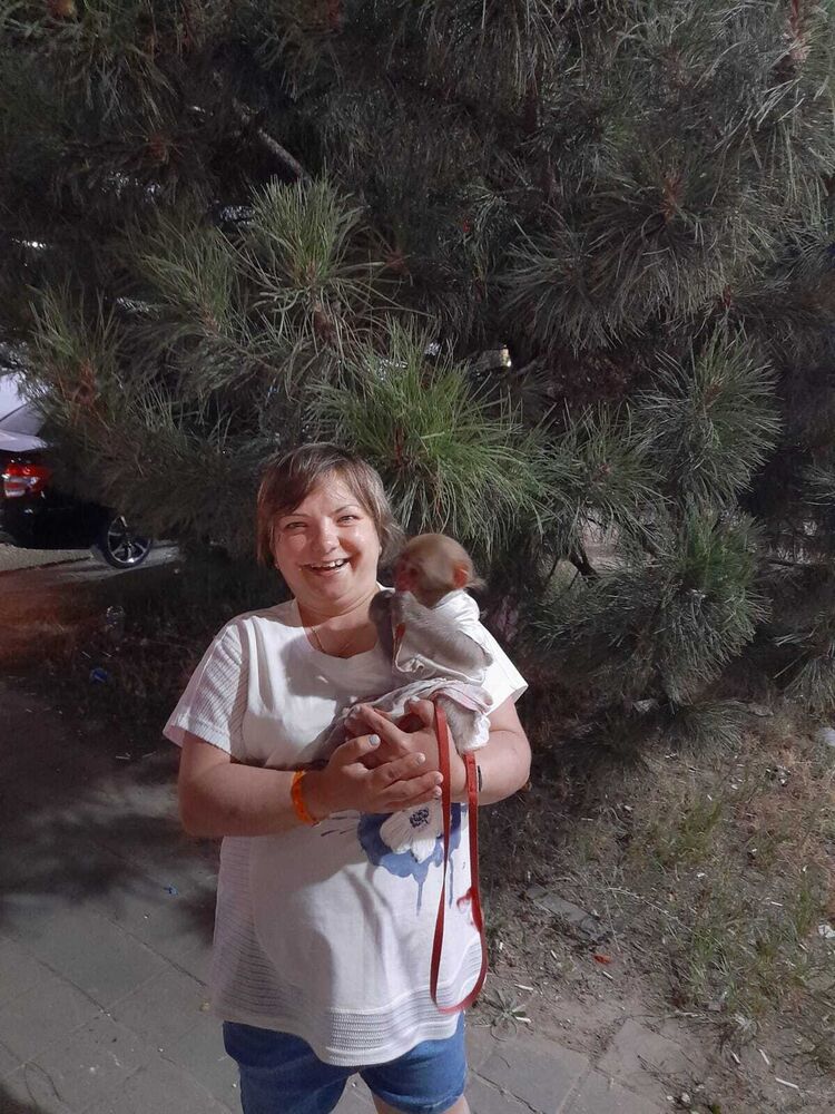 ���������� �����-���������, ���� ������� ��������, 42 ����, ������������ ��� c�������� ���������, ���������