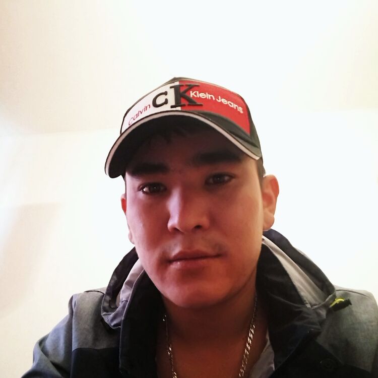  28221620  , 31 ,    