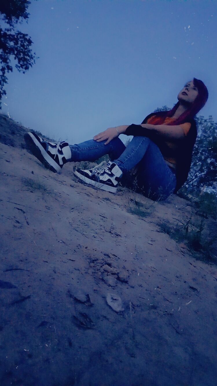  53226670  , 26 ,    