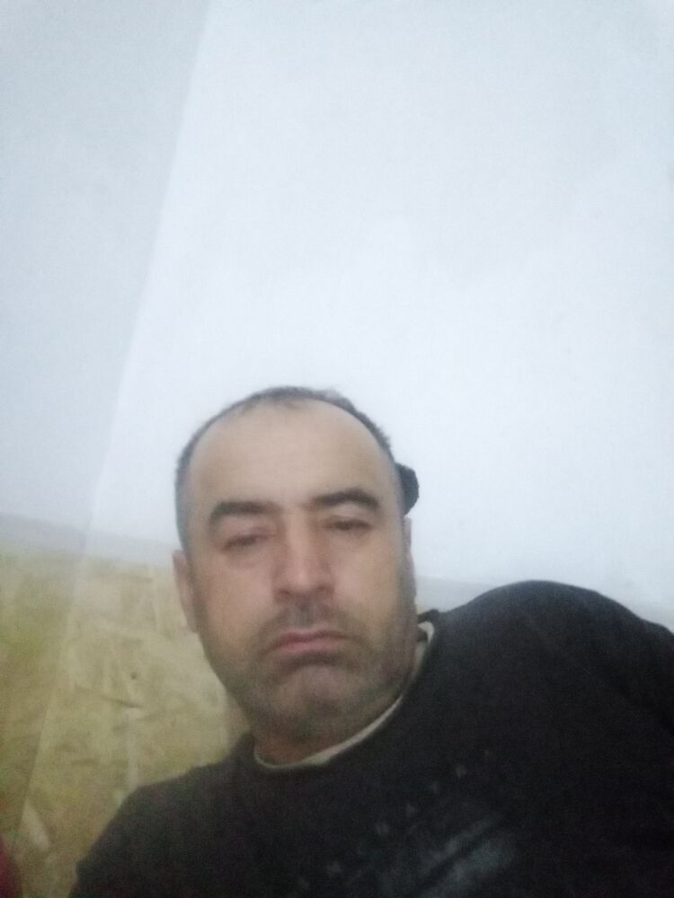 ���� 56101320 ������� �����, 48 ���, ���� ���������� � �������