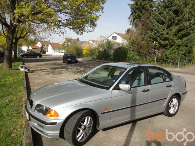 ���������� �����, ���� ������� �����, 43 ����, ������������ ��� ������