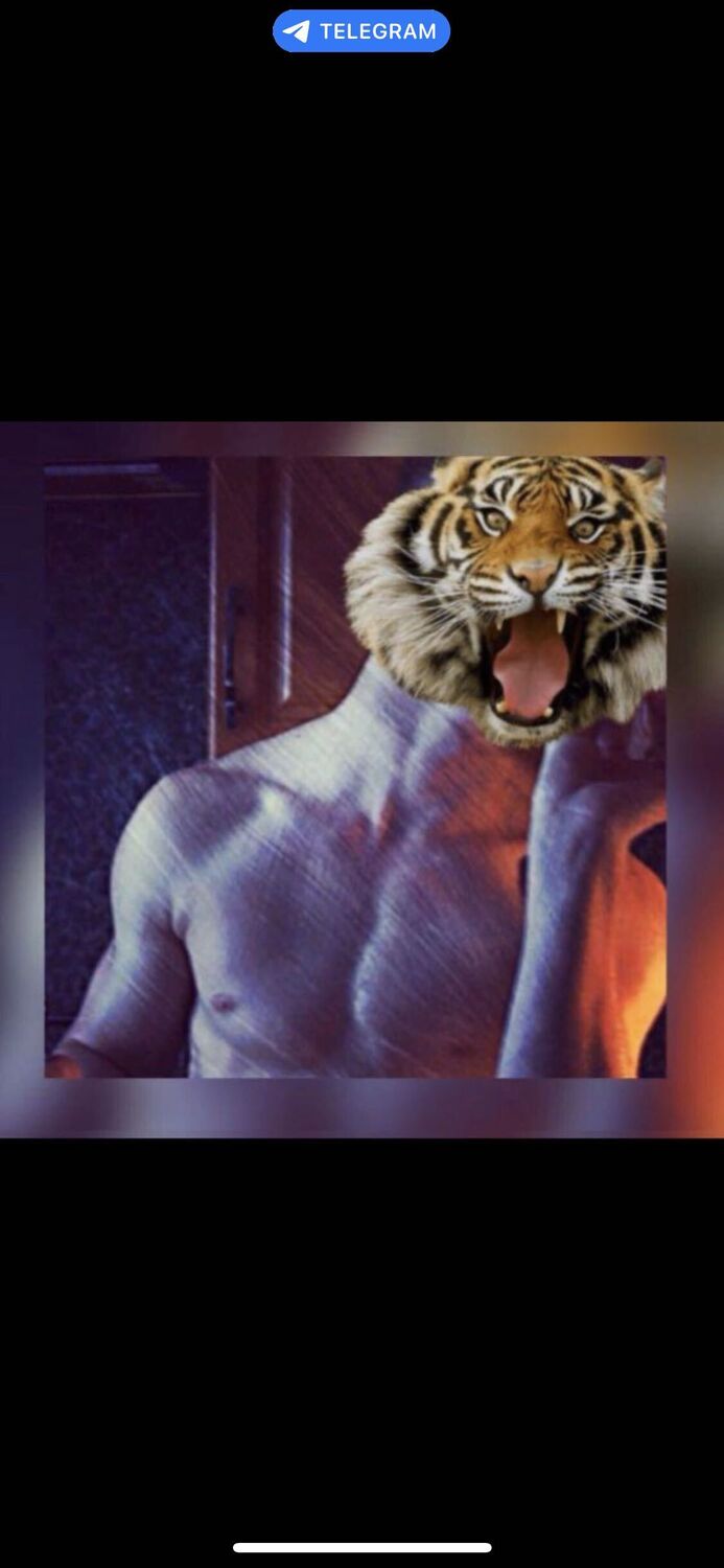  ,    , 31 ,   ,   
