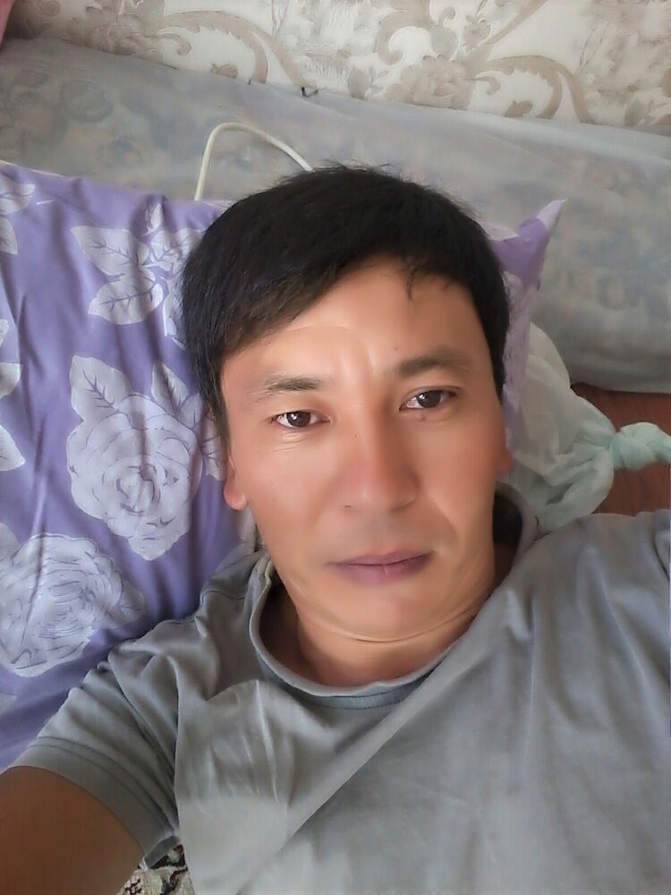  29304700  , 38 ,    