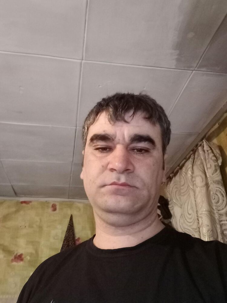  28250160  , 43 ,    