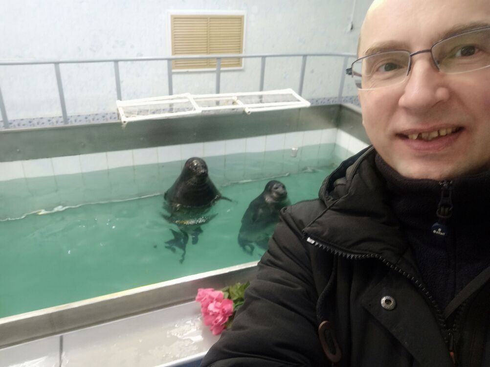  ,   , 46 ,   ,   , c , 