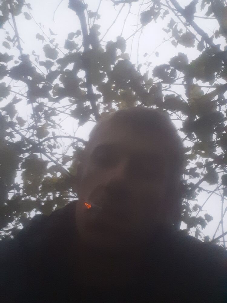  40207920  , 43 ,    