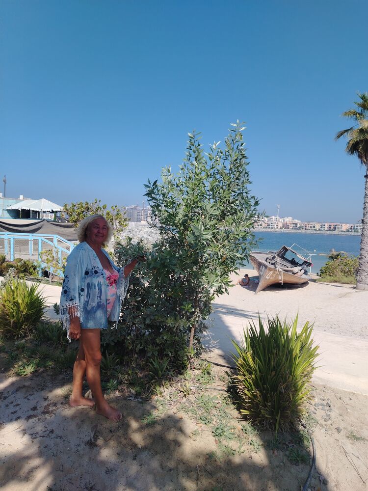  ,   , 71 ,  