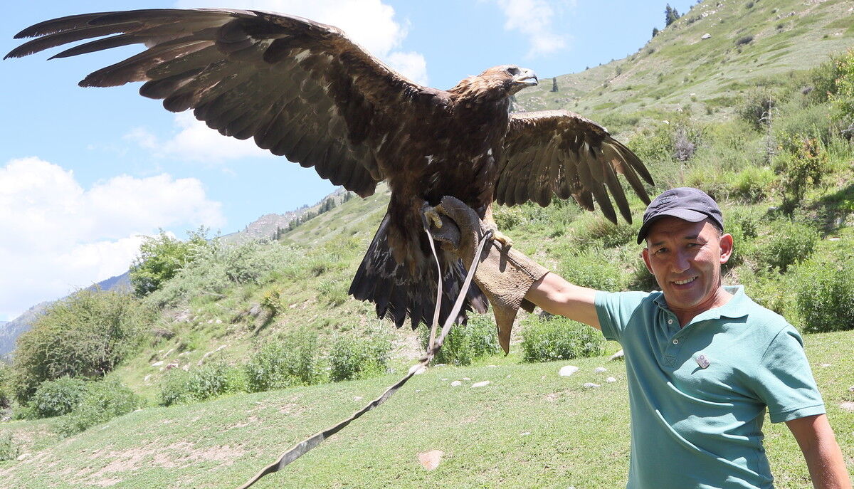 ���� 18891300 ������� ����, 48 ���, ���� ���������� � �������