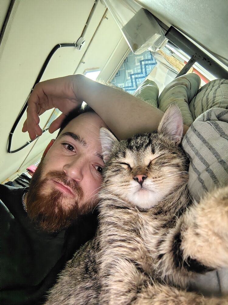 ���� 55288490 ������� Anzor, 27 ���, ���� ���������� � ������