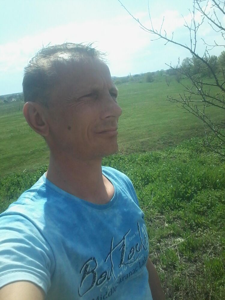  45606870  , 50 ,    