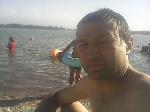  12178860  , 43 ,    