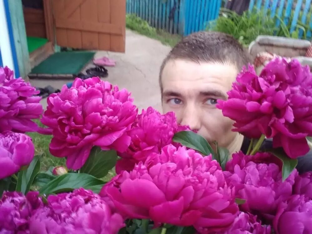 ���� 34241880 ������� ����, 40 ���, ���� ���������� � �������