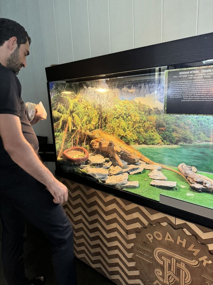 ���� 56191900 ������� ����, 34 ����, ���� ���������� � ����