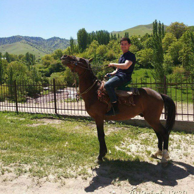 ���������� �������, ���� ������� ��������, 30 ���, ������������ ��� ������, ����� � ���������, c�������� ���������