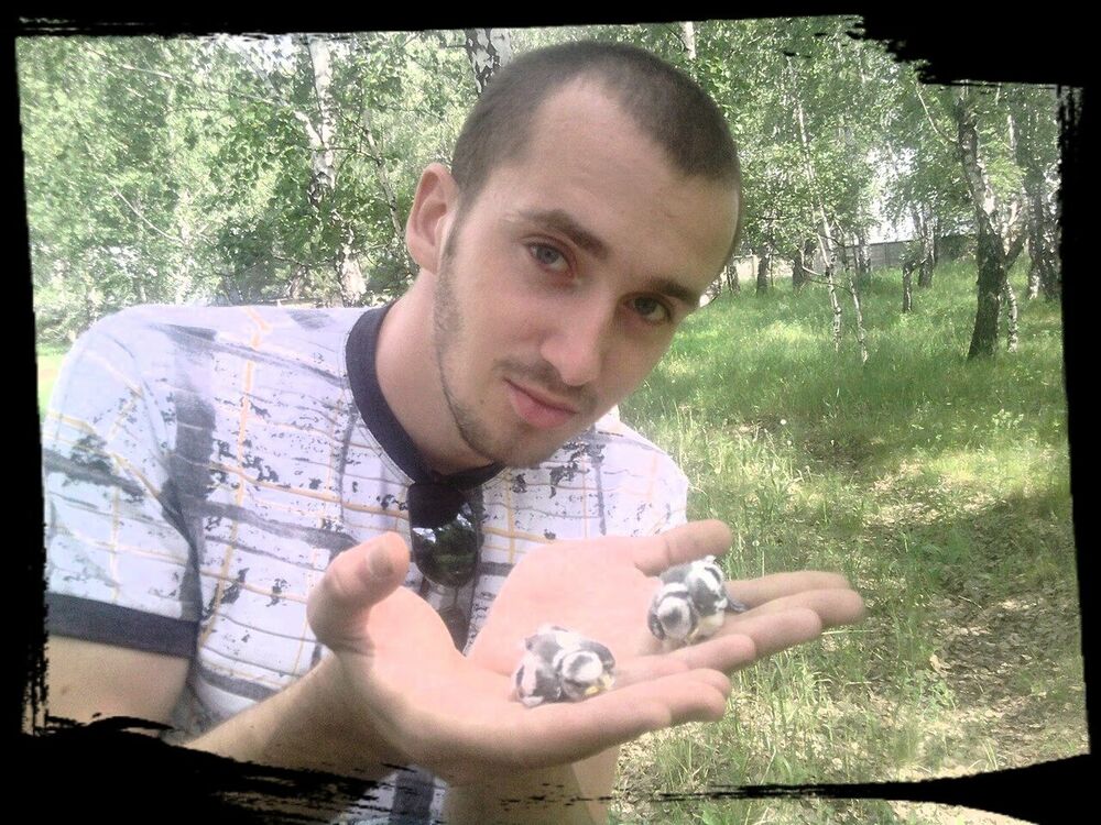 ���� 6689990 ������� Postal, 32 ����, ���� ���������� � �����