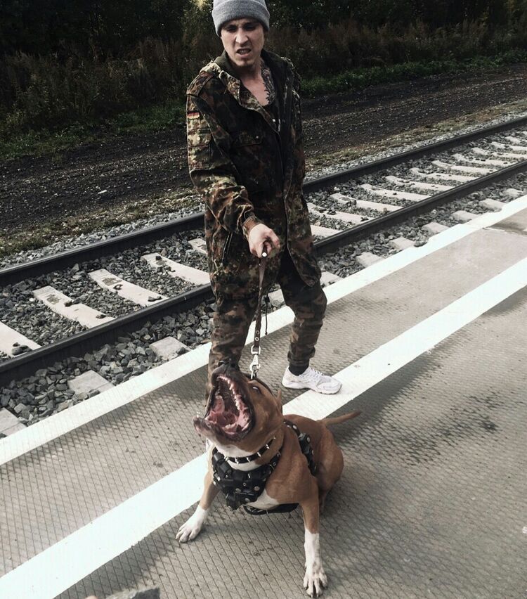  ,   , 36 ,   