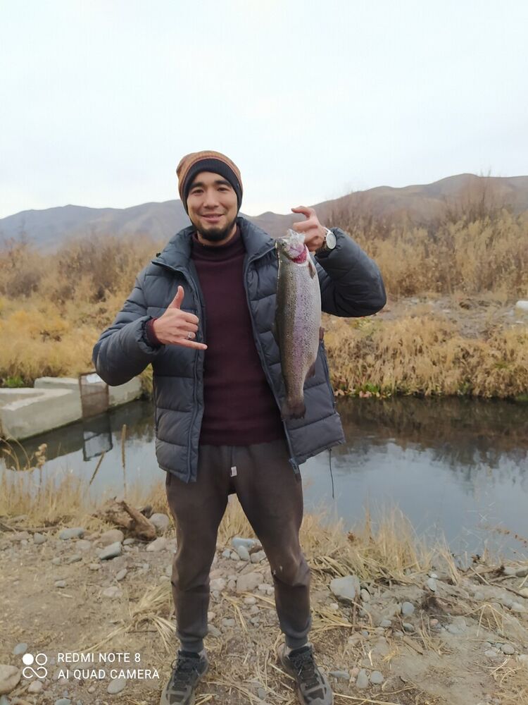 ���������� ������, ���� ������� ������, 35 ���, ������������ ��� ������, ����� � ���������, c�������� ���������