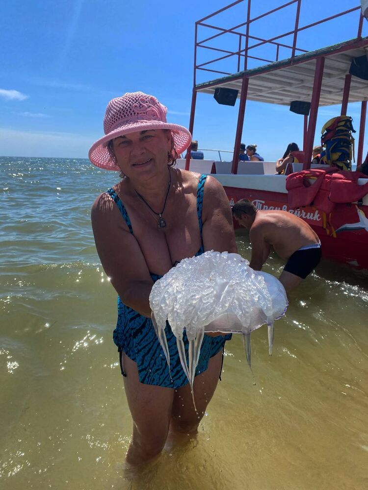  ,   , 57 ,   