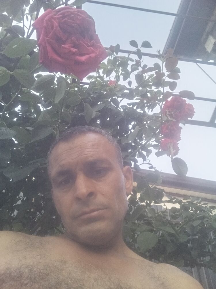  52873660  , 43 ,    