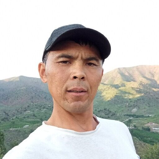  29696320  , 39 ,    