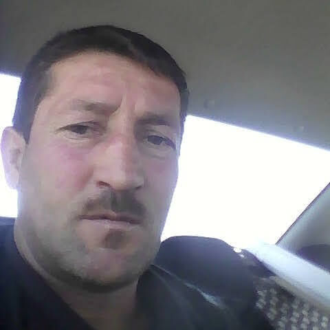  24201240  , 49 ,    