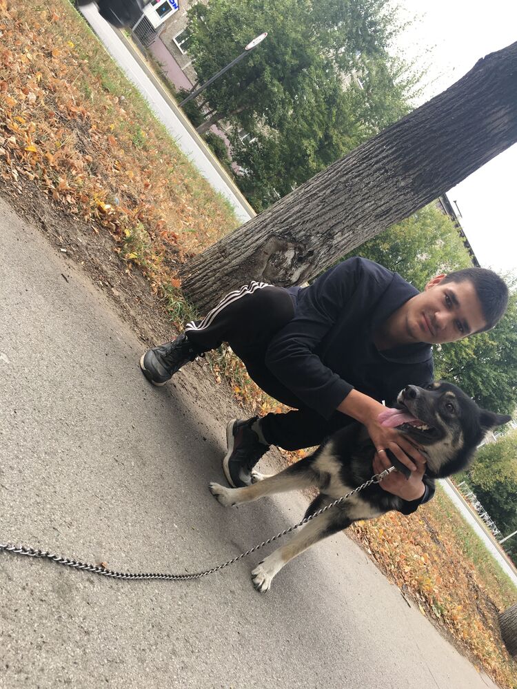 ���� 37115620 ����� �����, 23 ����, ���� ���������� � �����