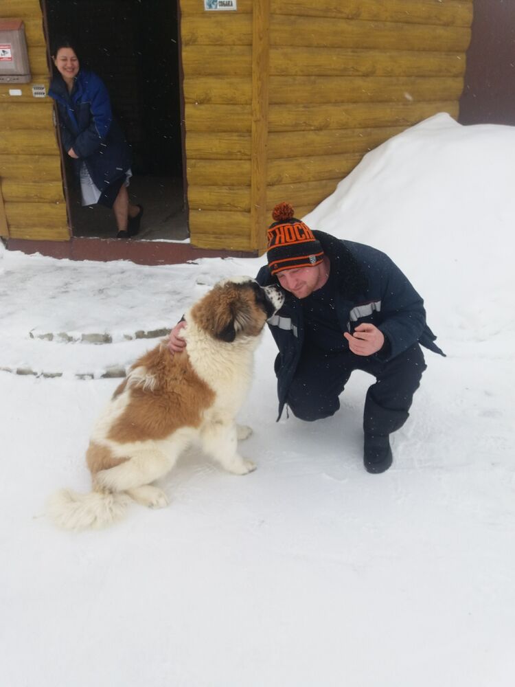 ���� 25770300 ������� ������, 31 ���, ���� ���������� � ������