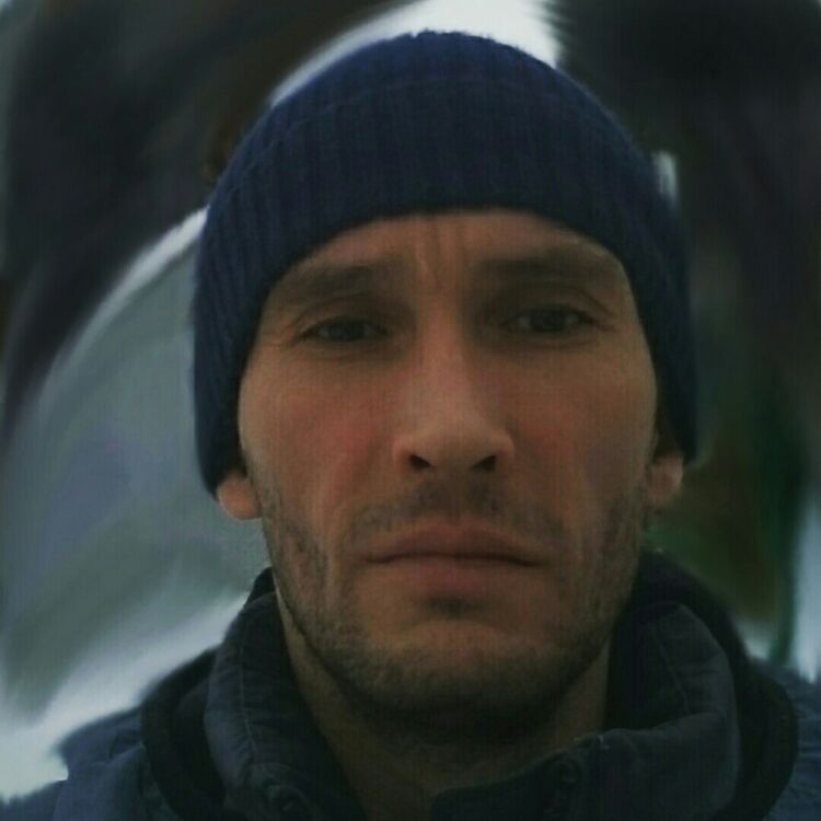 ���� 17645450 ������� �������, 45 ���, ���� ���������� � �������������