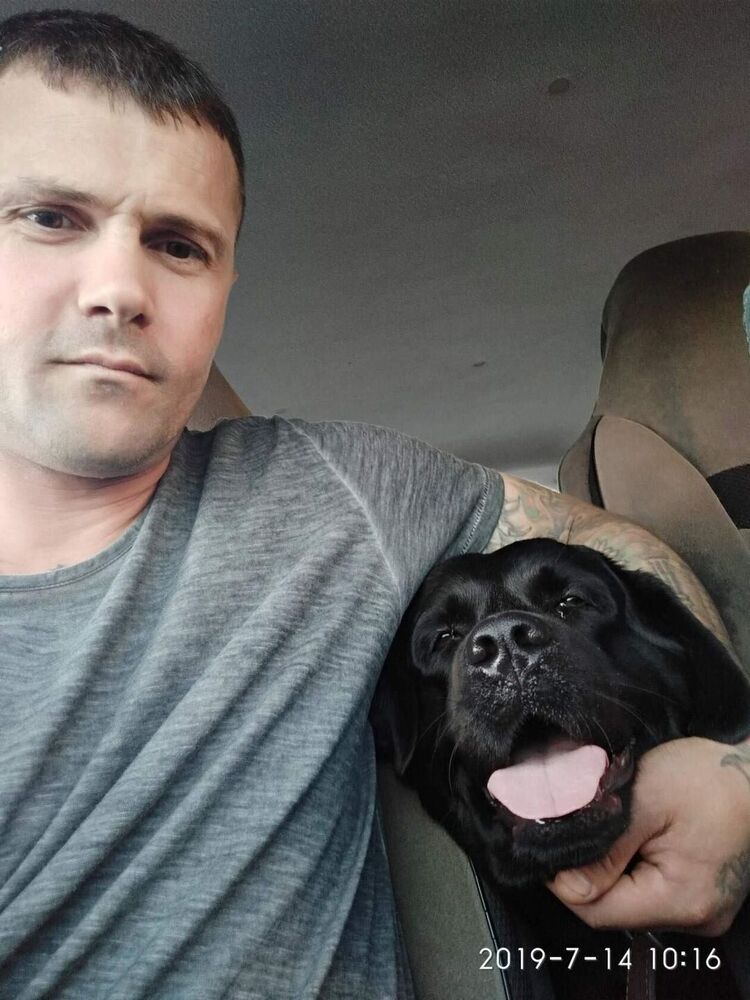 ���� 31433390 ������� ����, 38 ���, ���� ���������� � ������������