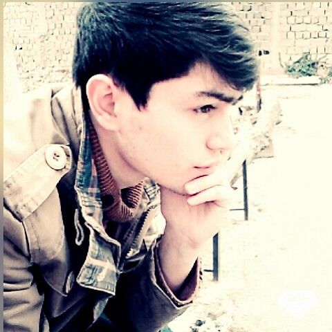  7788460  Ozod, 27 ,    