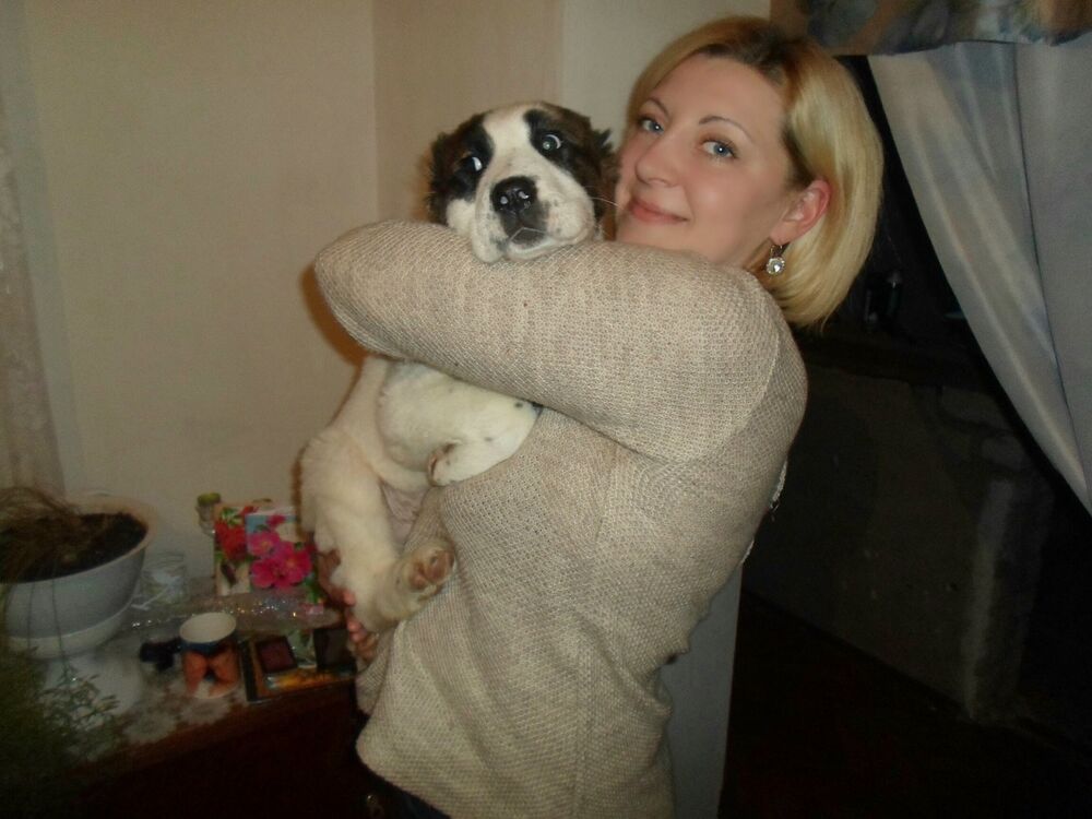 ���������� �����, ���� ������� ����, 43 ����, ������������ ��� ������, ����� � ���������, c�������� ���������