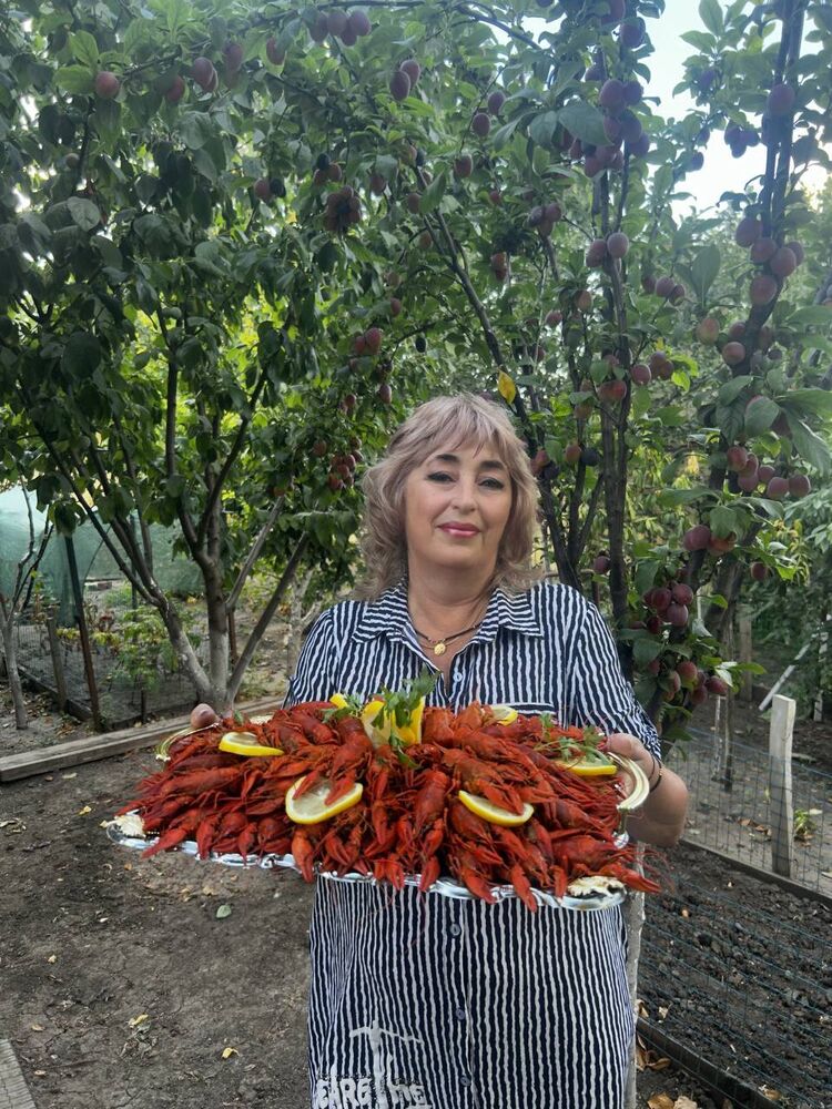 ���� 53123030 ������� �����, 64 ����, ���� ���������� � �������-��-����