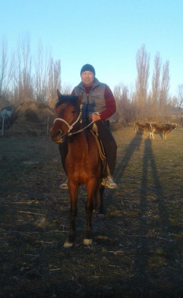 ,   , 48 ,   ,   , c , 