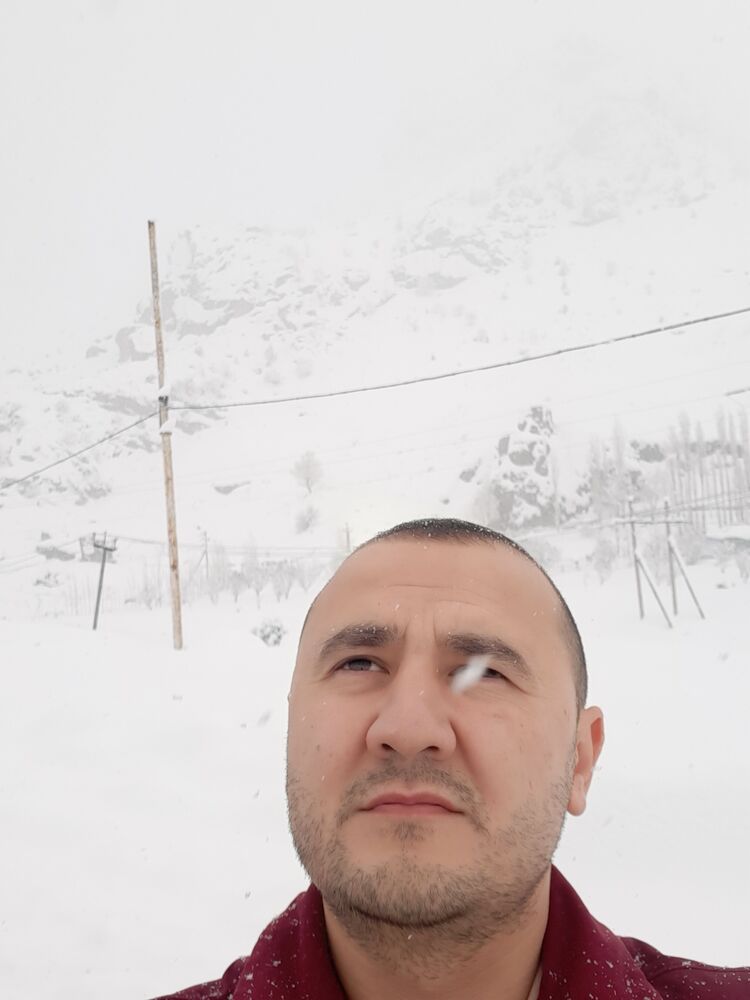 ���� 26615650 ������� ����, 34 ����, ���� ���������� � �����