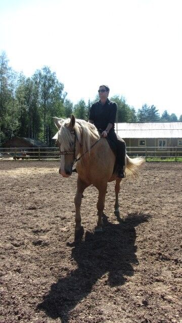 ���� 8370050 ������� ���������, 37 ���, ���� ���������� � ������ ���������